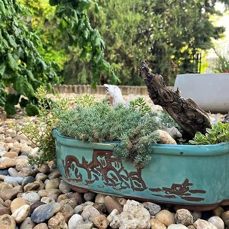 Motivi Hotel Saints Constantine and Helena