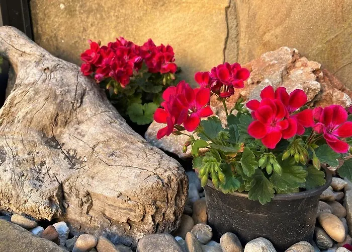 Motivi Hotel St Constantin et Helena